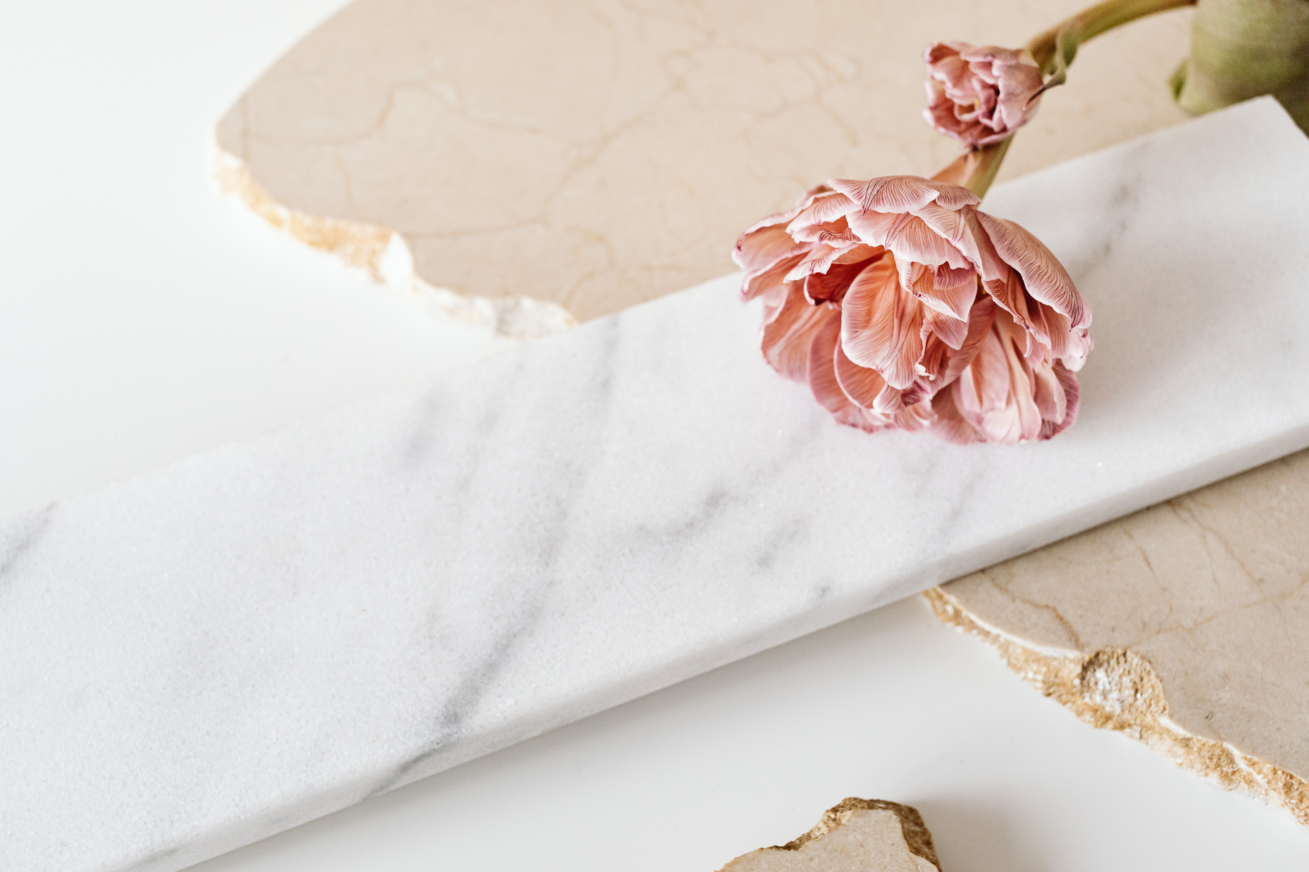 Pink Flower with Bud on White Marble Slab
